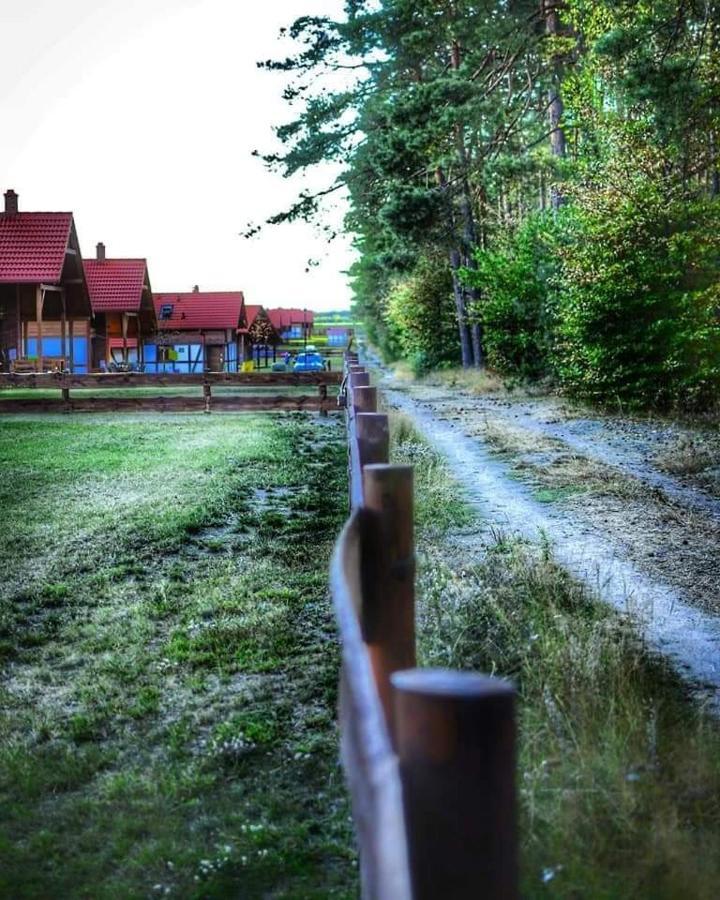 Lesna Ostoja Villa Borowy Mlyn Dış mekan fotoğraf
