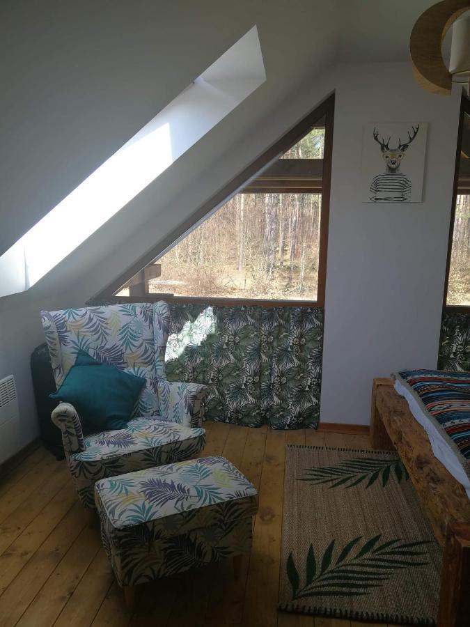 Lesna Ostoja Villa Borowy Mlyn Dış mekan fotoğraf